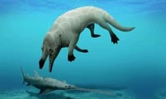 Science breakthrough: Four-legged whale 'critical discovery' earliest of its kind