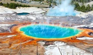 Yellowstone volcano rocked by 445 earthquakes - USGS says activity is 'above average'
