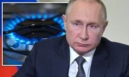 Putin outsmarted after offering to 'rescue' UK from gas crisis: 'We don't need it!'