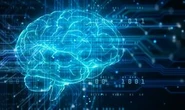 Scientists raise alarm as world’s first ‘thinking’ robot with BRAIN created