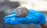 Egg-cellent: Archaeologists unearth intact 1,000-year-old egg - and crack it by accident