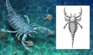Scientists in China stunned after finding 'bizarre' dog-size scorpion with 'sharp weapon'