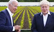 Biden to BLOCK UK's masterplan to slash soaring costs as food hits 'near-record' level