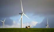 Energy lifeline as UK could have turbines the size of Big Ben if Sunak lifts wind farm ban