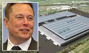 Musk primed for UK investment as Britain's first gigafactory to make Tesla-style batteries