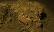 Archaeologists staggered as skeleton DNA uncovers unknown human group