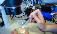 Parkinson's disease: 'Swiss army knife’ for gene editing could treat incurable illness