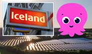 Octopus Energy strikes new deal with Iceland to bring down supermarket costs