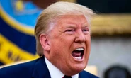 'Taliban have Blackhawks!' Trump says Biden should've 'bombed hell out of' US military kit