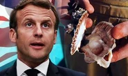 Macron's fishing time bomb: Brexit exposes EU cracks as French fishermen growing angry