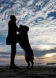 Lost pet dog spotted by owner on live TV two years after going missing