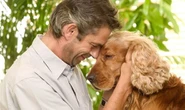 International Dog Day: Brief history of why millions celebrate their pooches