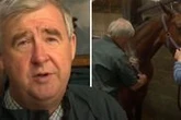 'You don't deserve this' Yorkshire Vet Peter Wright worried by 'devastating' horse injury