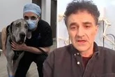 ‘Might lose him’ Supervet Noel Fitzpatrick torn over surgery for ‘disaster’ pet condition