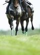 FREE £5 Online bet with MansionBet for new users with Saturday’s Daily Express