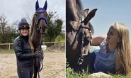 Murder victim killed at her horse's stable hounded by stalker
