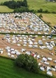McDonald's forced to close after travellers cause chaos at religious festival