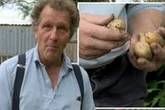 Gardeners' World star Monty Don issues stark warning over potatoes: 'Do not eat!'
