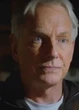 NCIS season 19 cast: Who is in the cast of NCIS season 19?