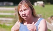 'We've been sailed down the river!' UK farmers' Brexit fury as industry 'thrown under bus'