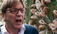 Brexit fishing fury after European Parliament made 'unprecedented' demand