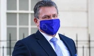 We don't trust you! Sefcovic's parting dig at Boris after Brexit talks end in deadlock