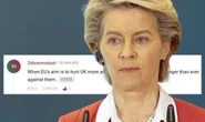 'This is subjugation' Brexiteers outraged as EU demands UK play by its rules