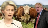 And they lectured us on standards! EU set to lift ban on grim farming method – leaked memo