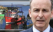 Do something! Irish fishing panic exposed as urgent letter sent to Dublin - Brexit blamed