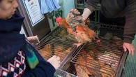 Grippe aviaire H10N3 : ce que l'on sait sur le premier cas humain repéré en Chine