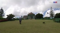 Napoléon : un souvenir encore très présent à Sainte-Hélène