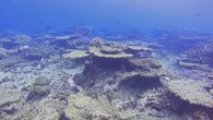 Ces sites du patrimoine mondial de l'Unesco qui pourraient être classés "en péril"