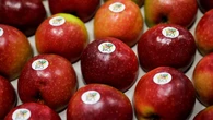 Agriculture : les ventes de produits bio subissent-elles un coup de frein ?
