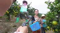 Chine : des agriculteurs jouent les influenceurs pour booster leurs ventes