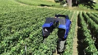 Un premier robot 100% autonome remplace l'homme dans les vignes de Provence