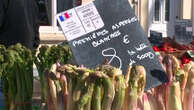 Légumes de printemps : dans le Gard, les premières asperges sont arrivées sur les étals