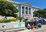 "C'est leur Vietnam" : à Berkeley, la mobilisation étudiante pour Gaza rappelle le passé contestataire de l'université américaine