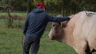 Agriculteurs : la colère monte dans le Gers et le Tarn