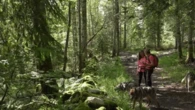 Tourisme : le Jura, entre randonnée canine et escalade le long d’un fort