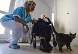 "Ce n’est pas possible de m'en séparer, c'est mon compagnon" : Josette ne serait jamais venue dans un Ehpad sans Oscar, son petit chien