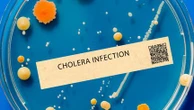 Cas de choléra à La Réunion et à Mayotte : "On est encore loin d'une épidémie", note l'épidémiologiste Renaud Piarroux