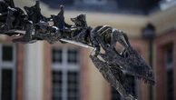 "Vulcain", le plus grand dinosaure jamais mis aux enchères exposé au château de Dampierre-en-Yvelines avant la vente