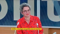 Election présidentielle : la candidate à la primaire écologiste Sandrine Rousseau prône un "changement de modèle radical"
