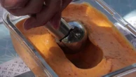 Gastronomie : la glace maison, elle a tout bon