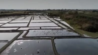 Loire-Atlantique : Guérande, la cite des maîtres du sel
