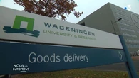 Pays-Bas : 15 000 étudiants, chercheurs et entrepreneurs mijotent la nourriture du futur sur le campus de la "Food Valley"
