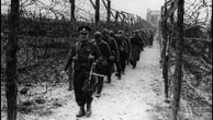 "L'état-major allemand n'arrive pas à se mettre à la place des Alliés" : le Débarquement vu du côté des nazis par l'historien Jean-Luc Leleu