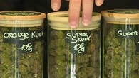 Consommation : la vente de cannabidiol, un commerce en pleine expansion