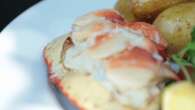 Gastronomie : le Cromer, un crabe aux pinces d'or