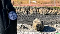 Obus en Seine-Saint-Denis : la menace permanente des bombes de la Seconde Guerre mondiale encore enfouies